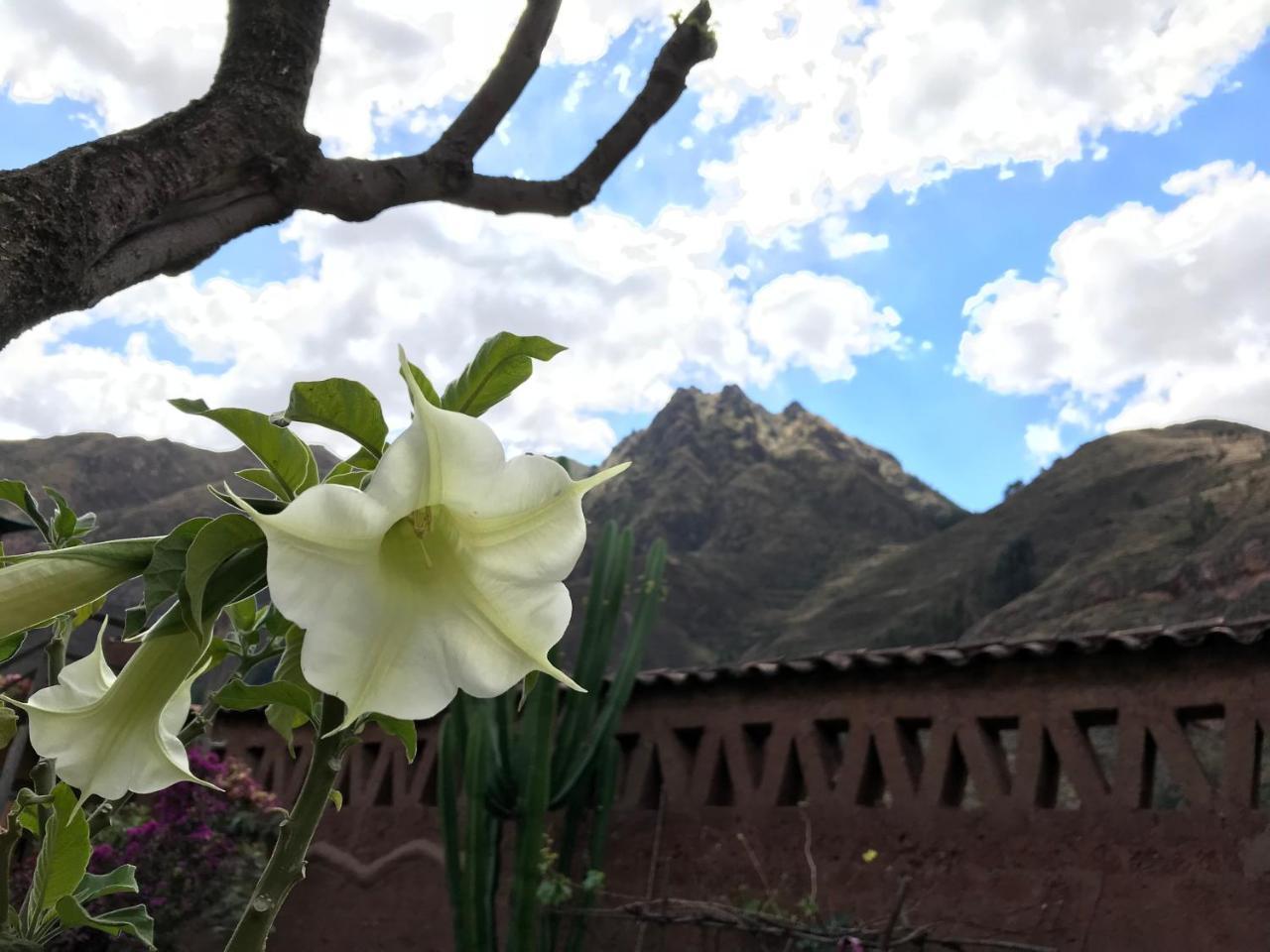 Pisac Inca Guest House Kültér fotó